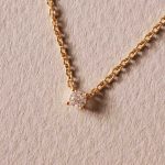 apodemia collares
